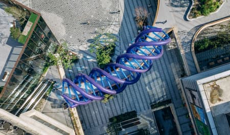 Light Vortex Bridge